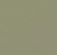 933355 Rosemary Green 